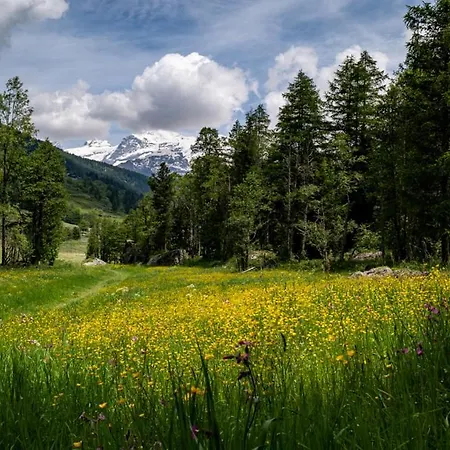 Bed & Breakfast Eco Merlet Champoluc